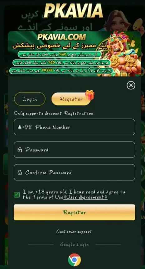 Register and Login Process
