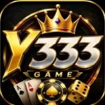 Y333 Game