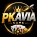PKAVIA Game