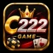 C222 Game